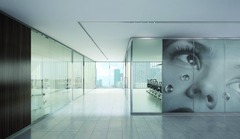 דלתות זכוכית למשרד ESEDRA