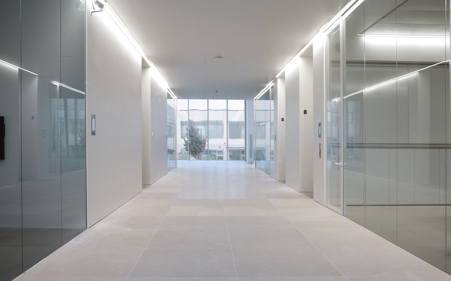 מחיצות זכוכית למשרדים ESEDRA